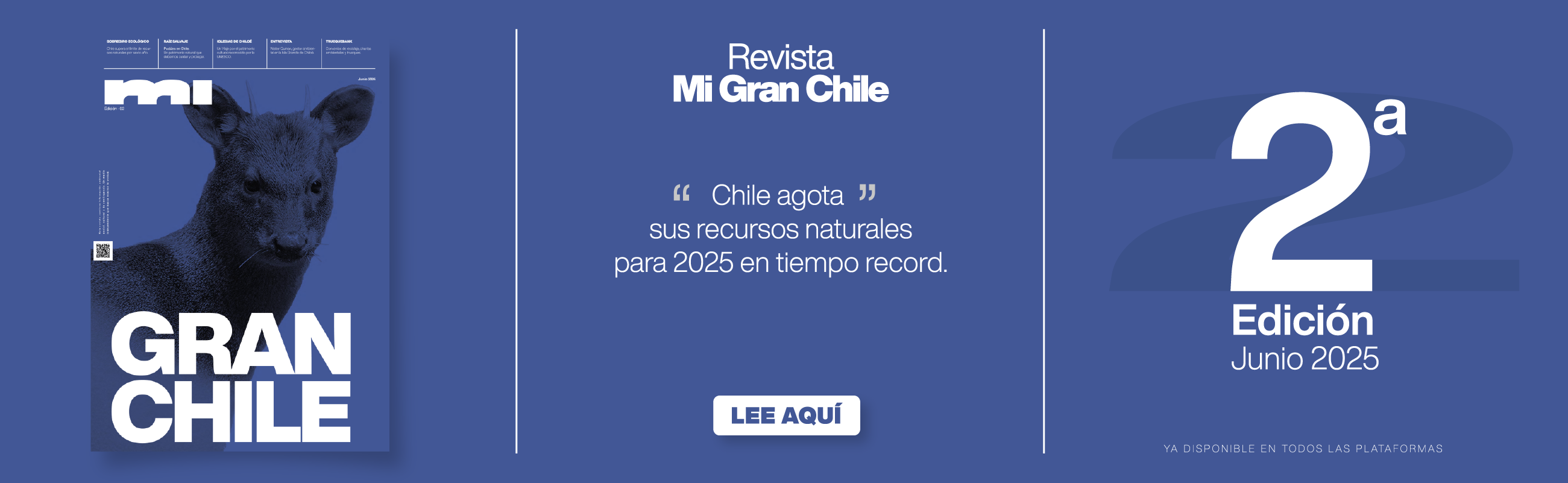 Economía circular: cómo las empresas pueden reducir residuos y crear valor