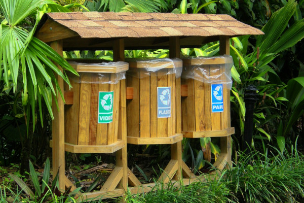 Educación ambiental: hábitos que sí funcionan en equipos de trabajo